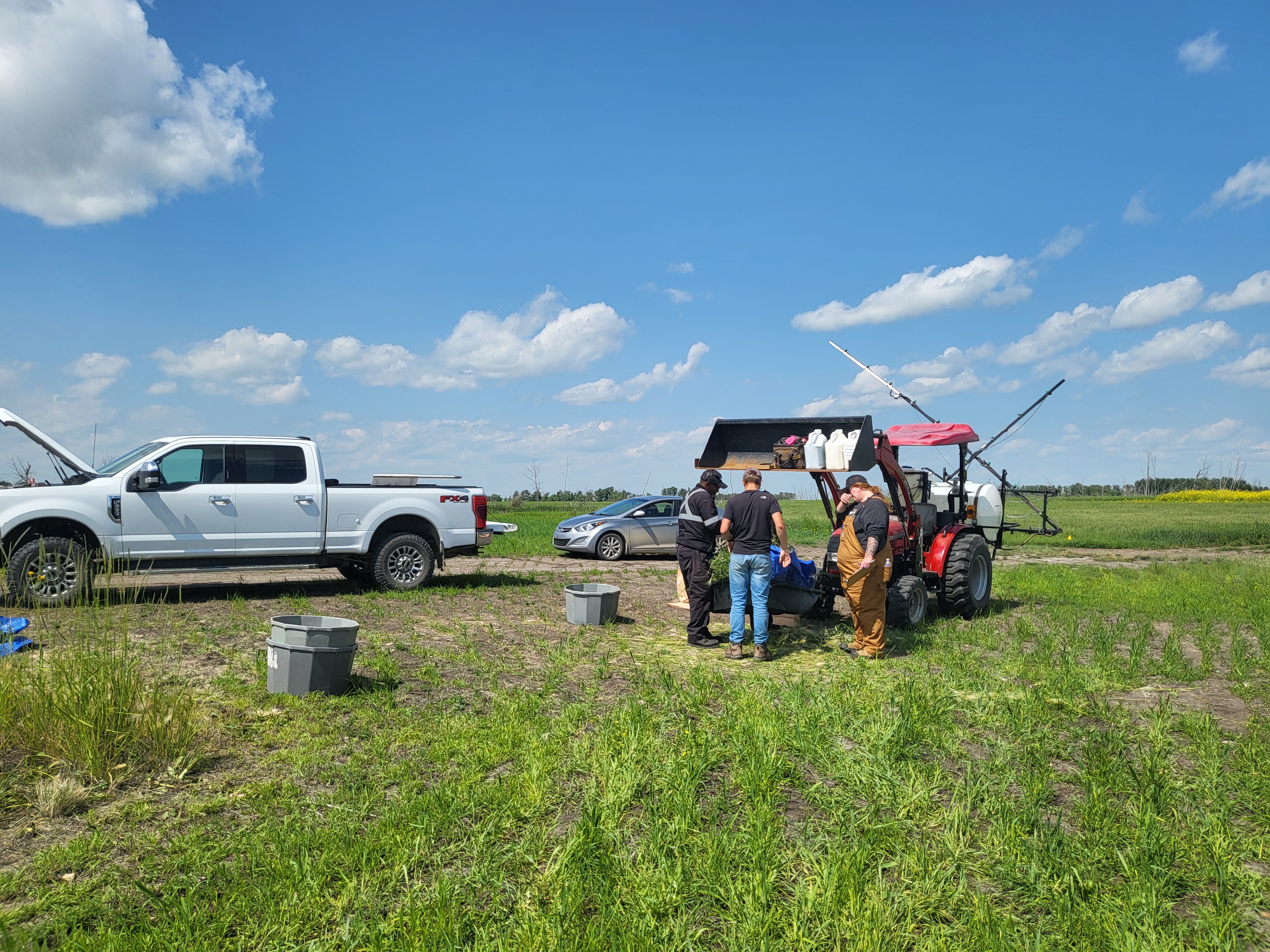 Research fields at South East Research Farm