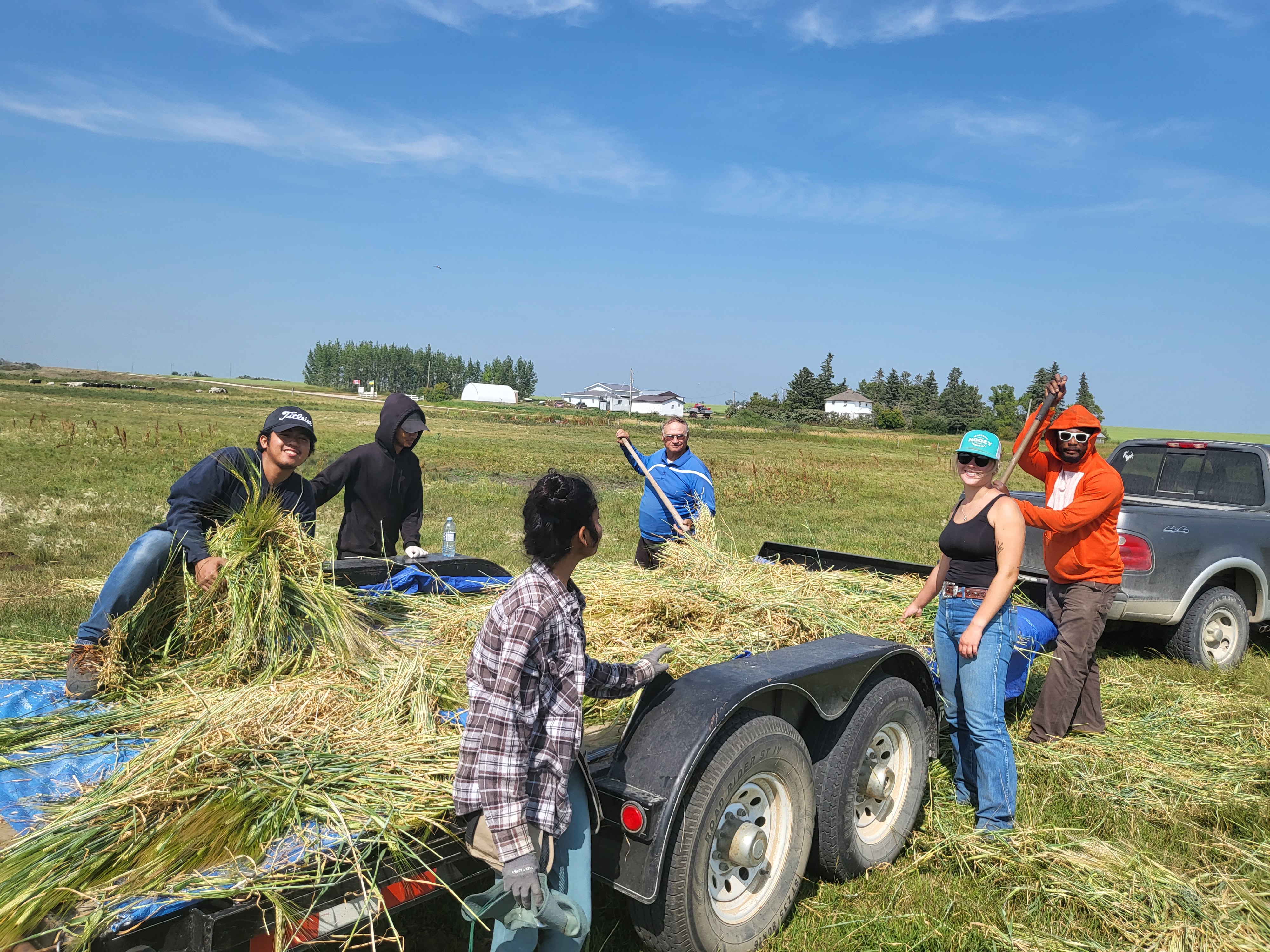 Research farm activities
